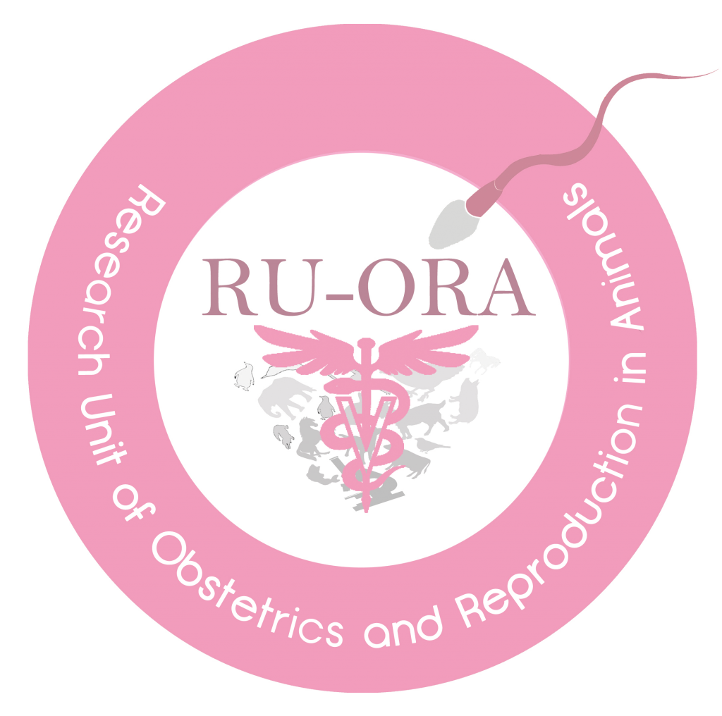 RU-ORA-LOGO