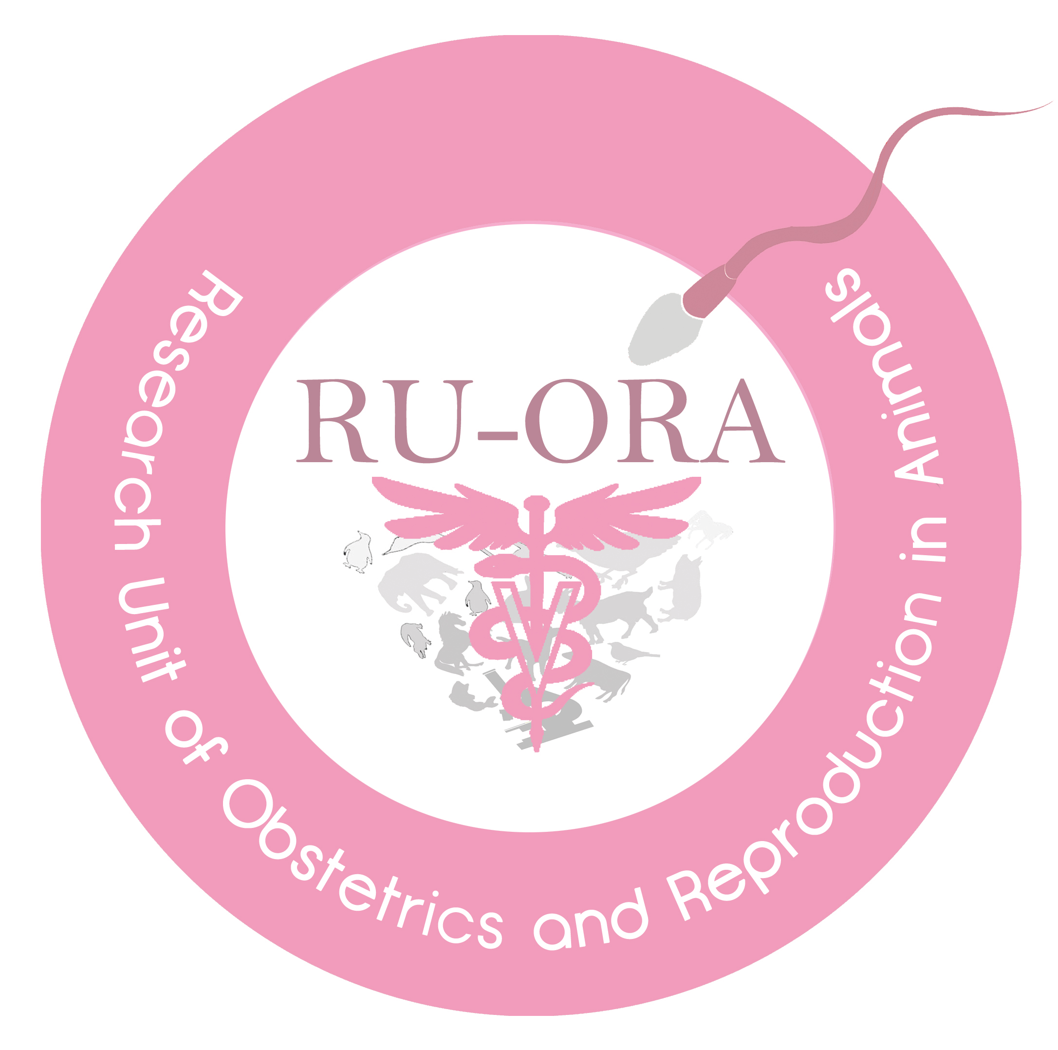 RU-ORA-LOGO
