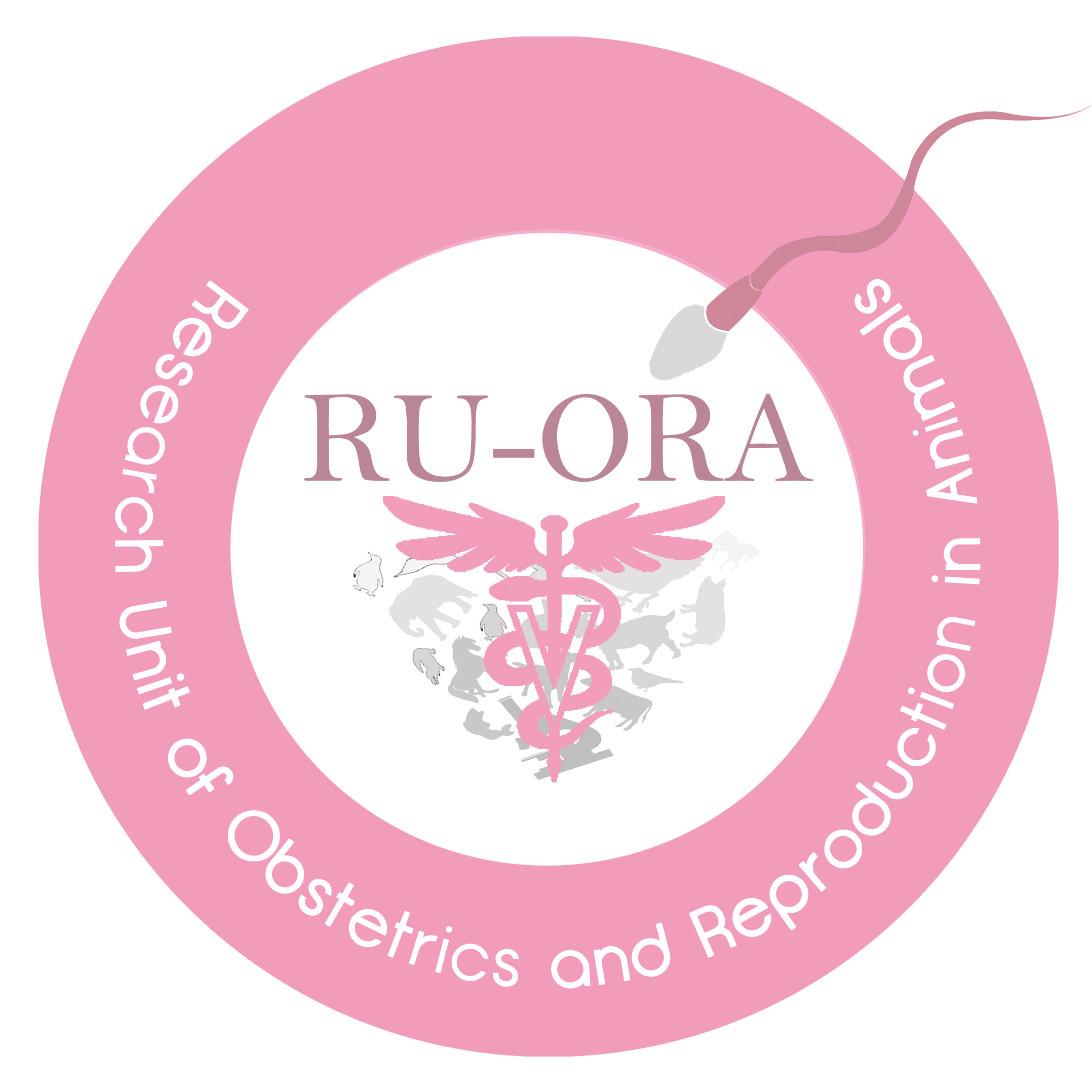 RU-ORA-LOGO