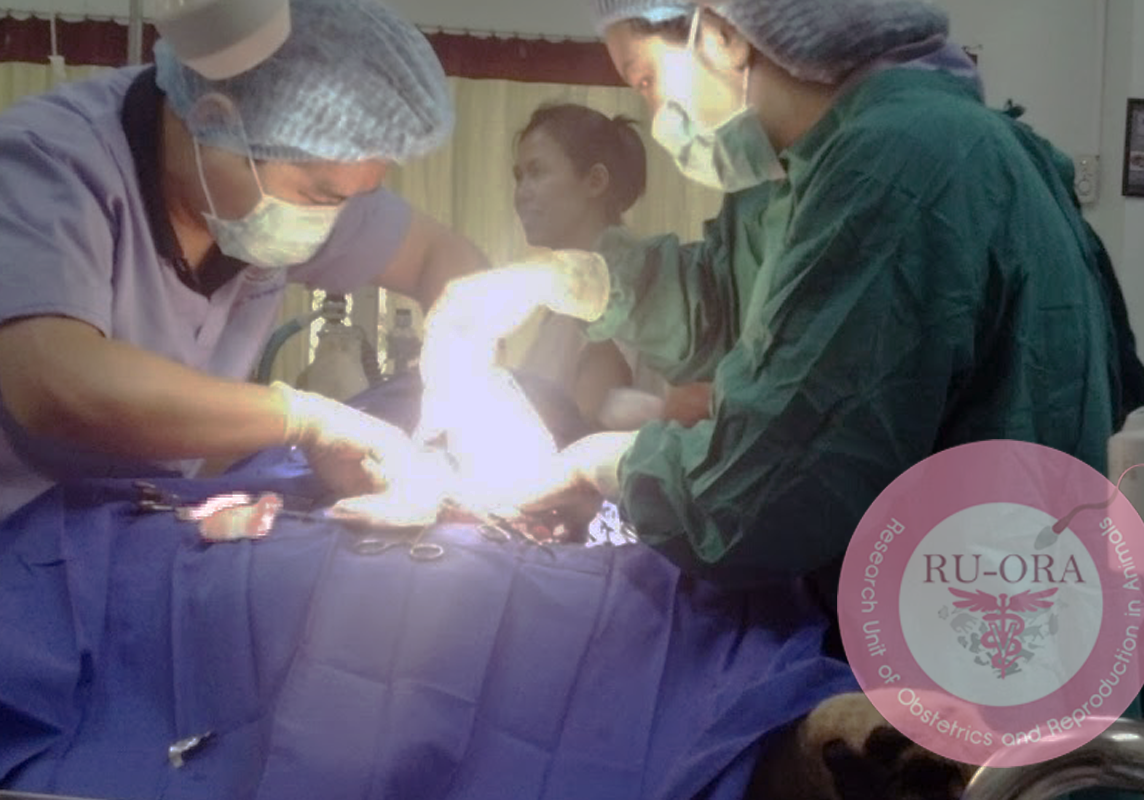 Clinical Application